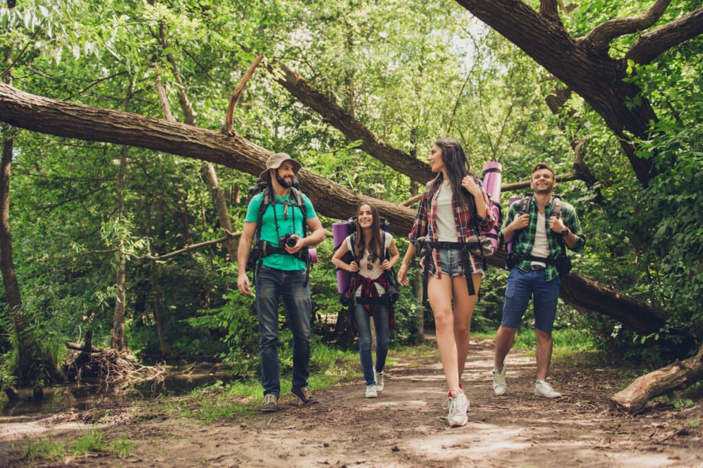 personas caminando en el bosque